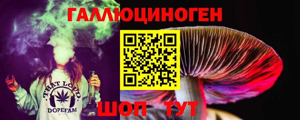купить наркотики цена  Вход с VPN  Зима  Галлюциногенные грибы мухоморы 